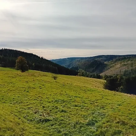 Lauschablick * Lauscha